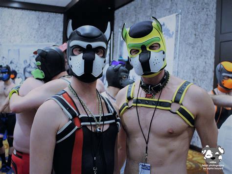 gay puppy porn